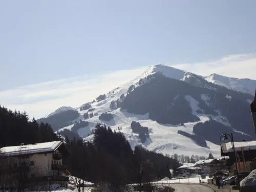 Alpenappartement Bartl