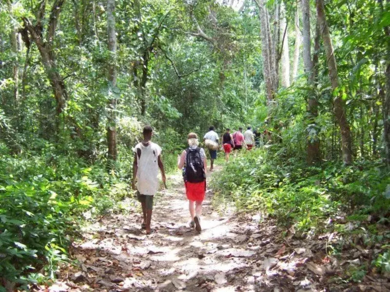 Nalesutale Village Lodges