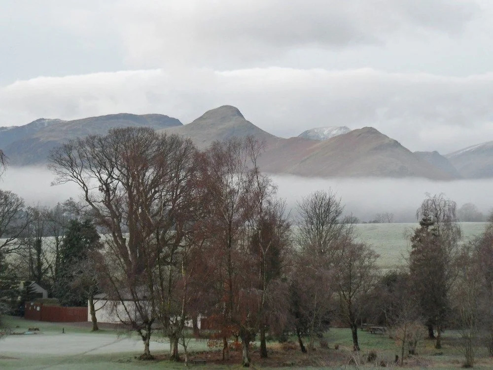 Lane Rigg
