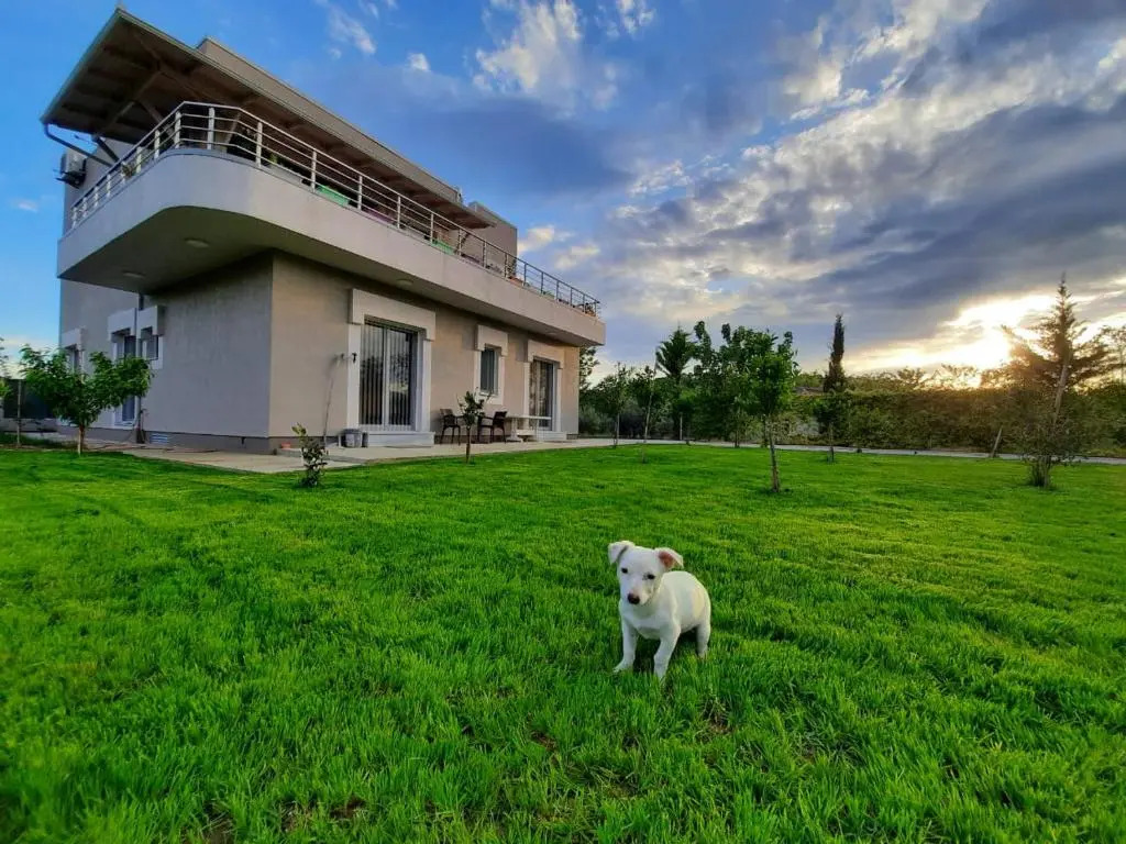 Hilltop Hideaway