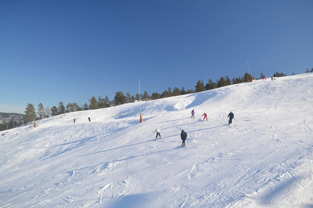 Ski Lodge & Apartments Gautefall