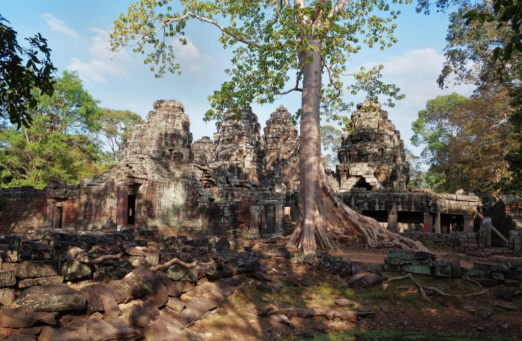 Bakong Village Homestay