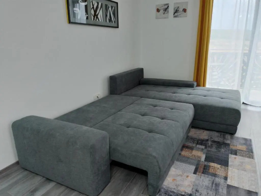Apartament regim hotelier Băile Felix