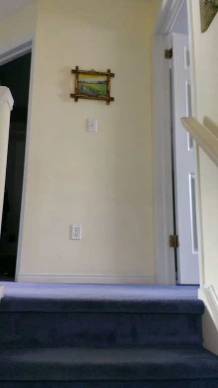 HB Guest Home 3