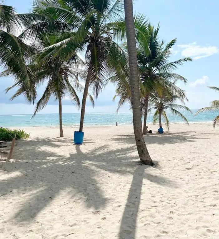 Bright and Spacious Apartment 10 Mins Away From PUJ Airport