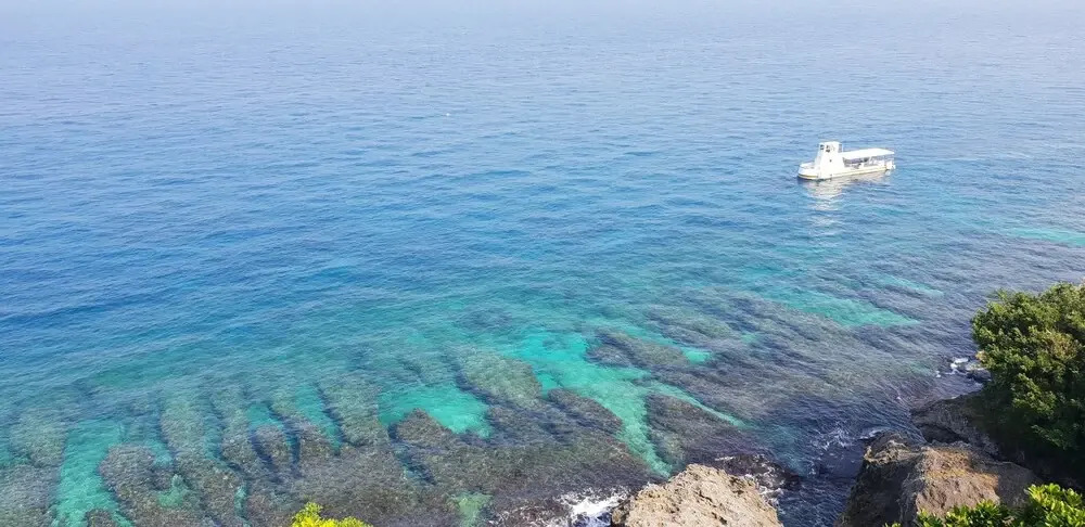 Little Ryukyu Hermit Crab Homestay