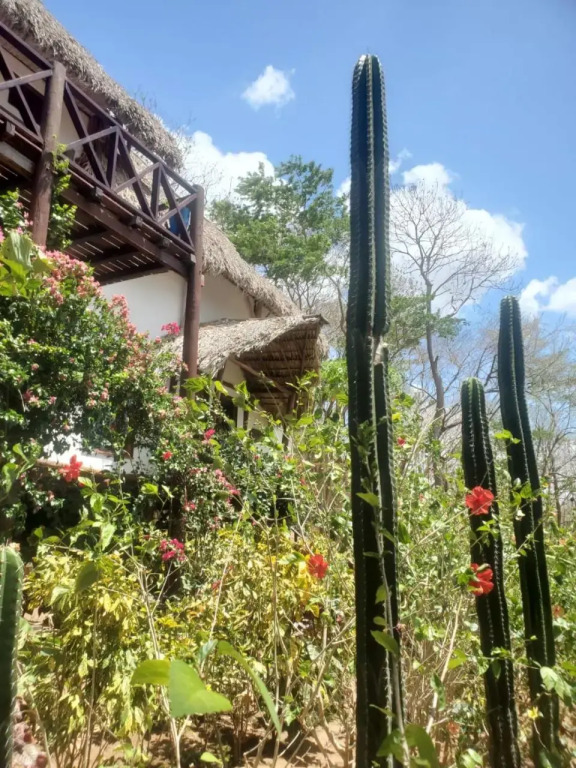 Tuani Lodge