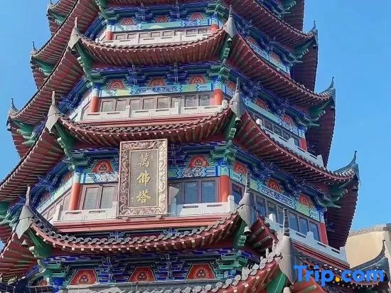 Chuxu Homestay