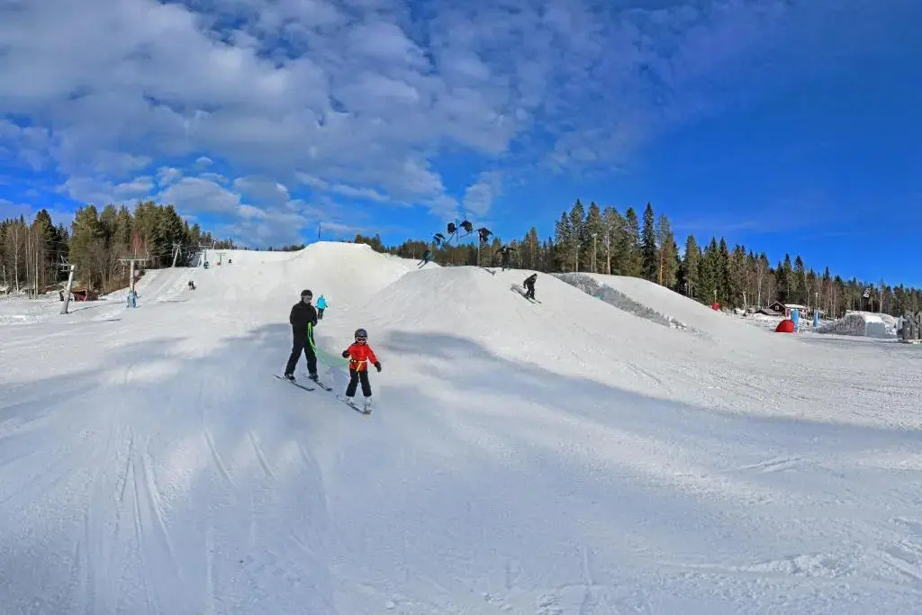 Skellefteå Camping