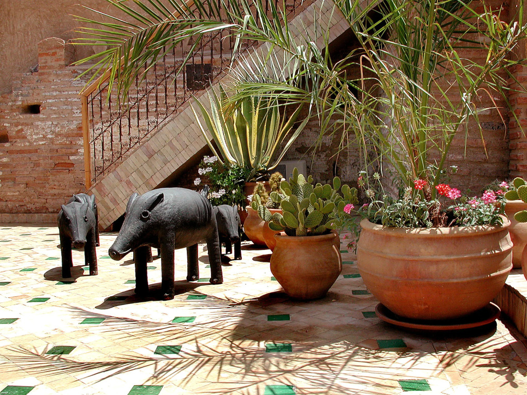 Riad Aladdin