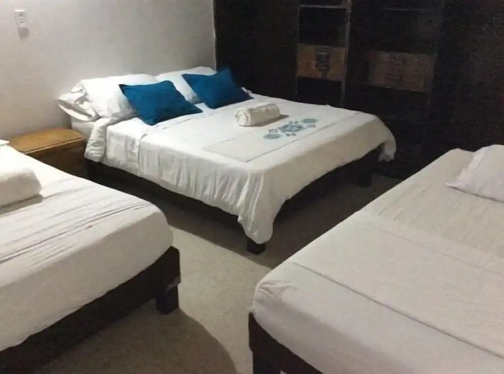 Palm Tree Hostal Medellin - Hostel