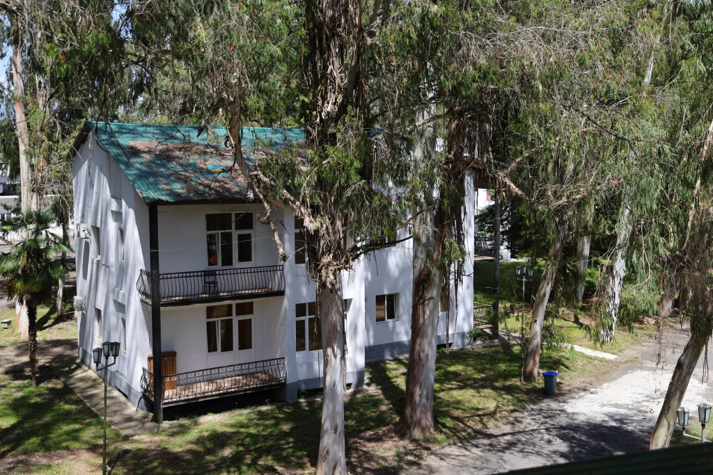 Эвкалиптовая роща