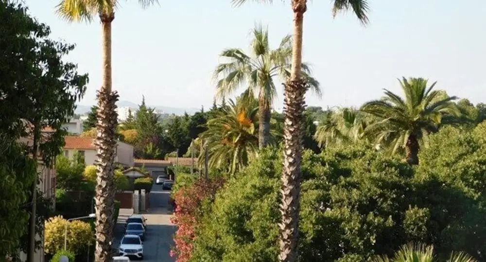 T2 Les Oliviers avec parking