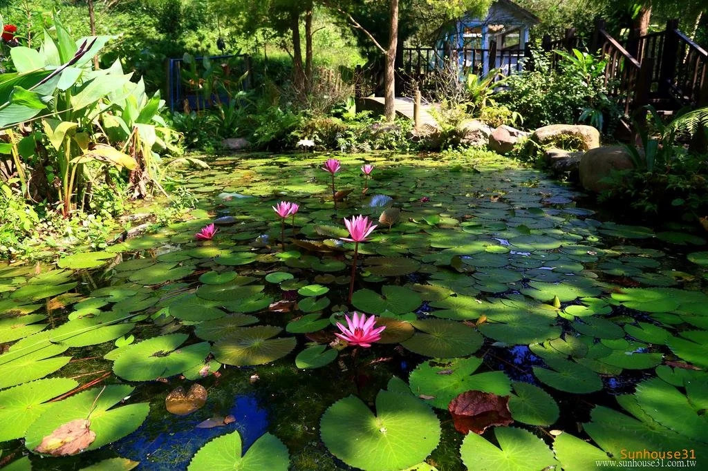 Xiangyang Tianyuan