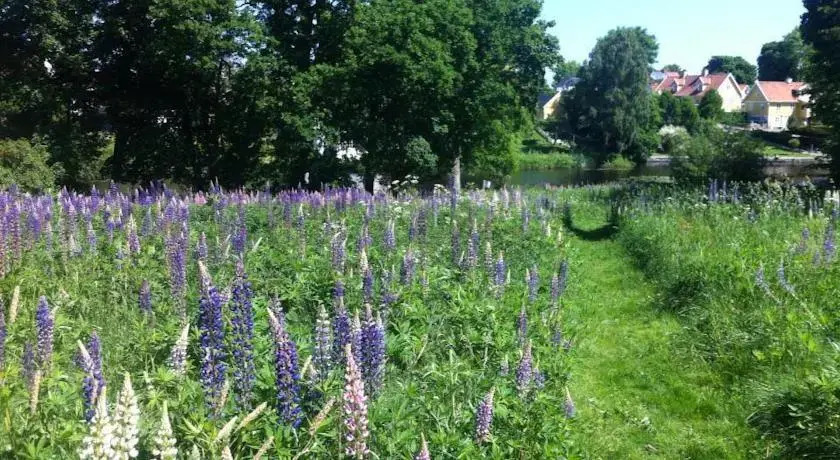 STF Vandrarhem Tollarp