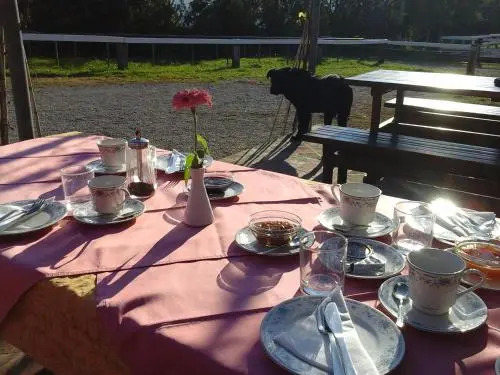 Kmetija Medljan