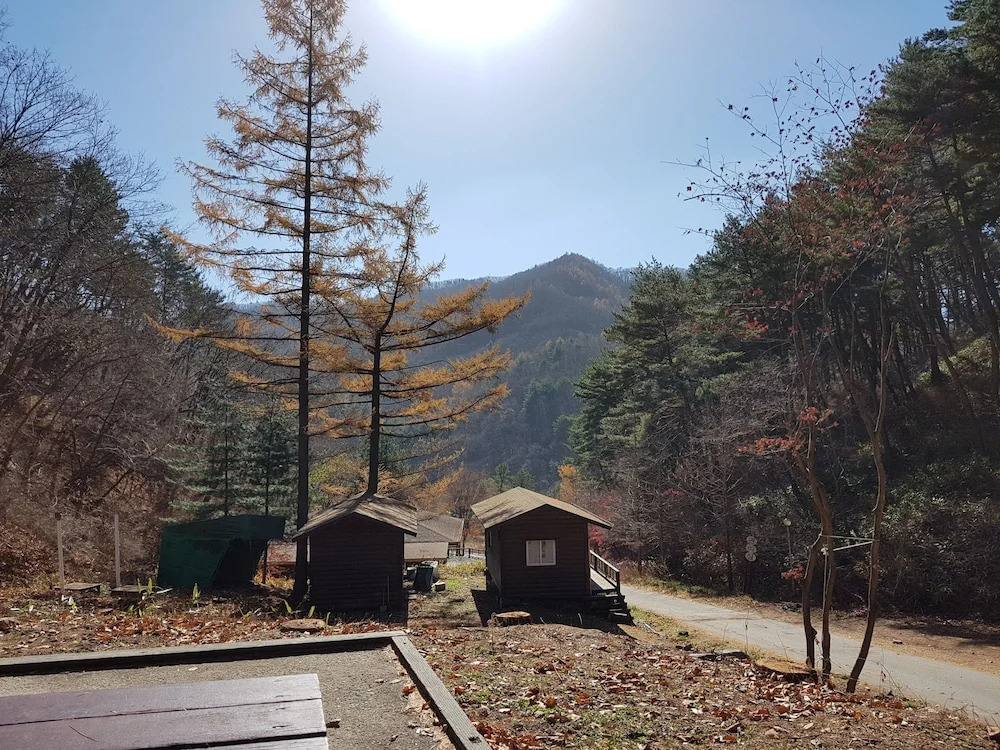 Dunnae Nature Forest Lodge House