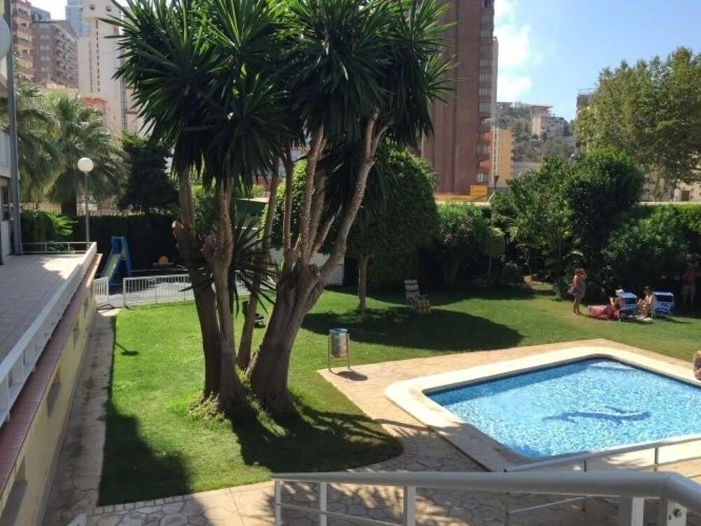 Albatros Apartment