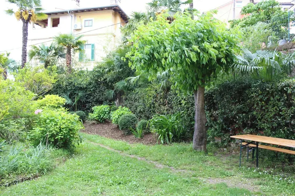 Apartments Rezine