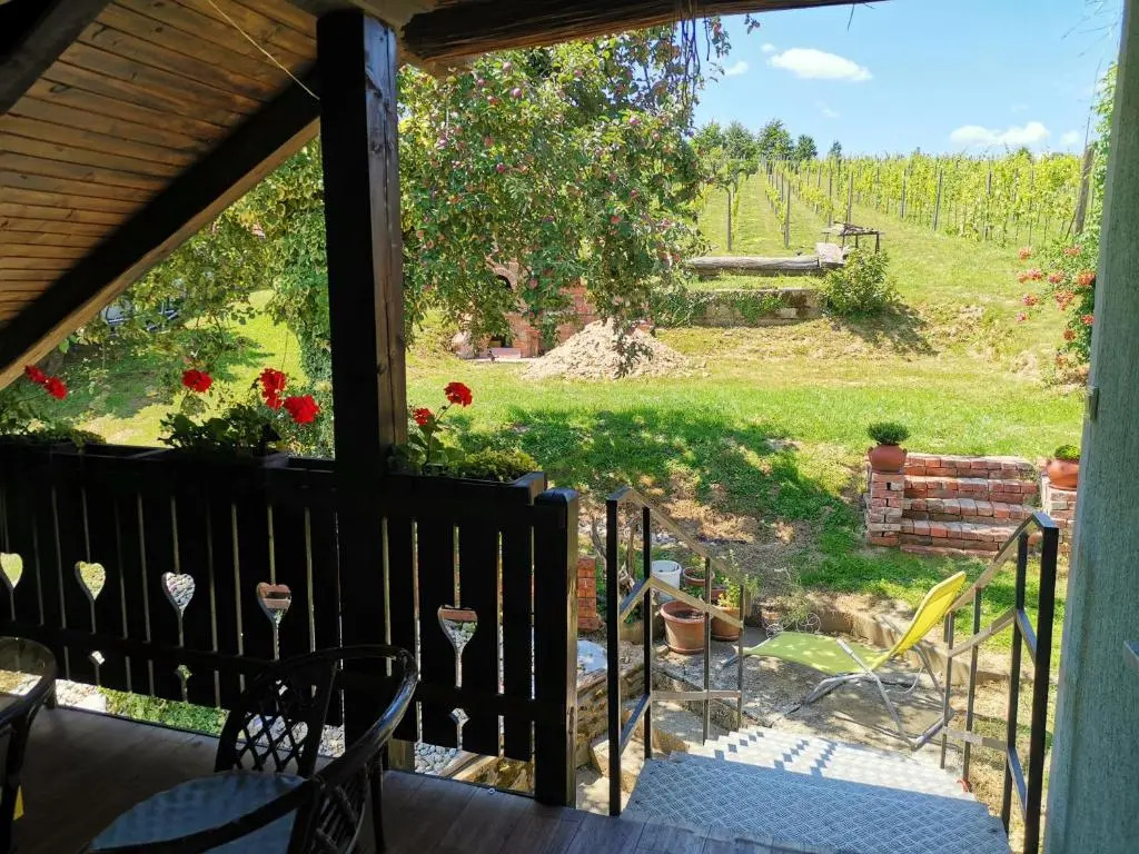 Apartma med vinogradi