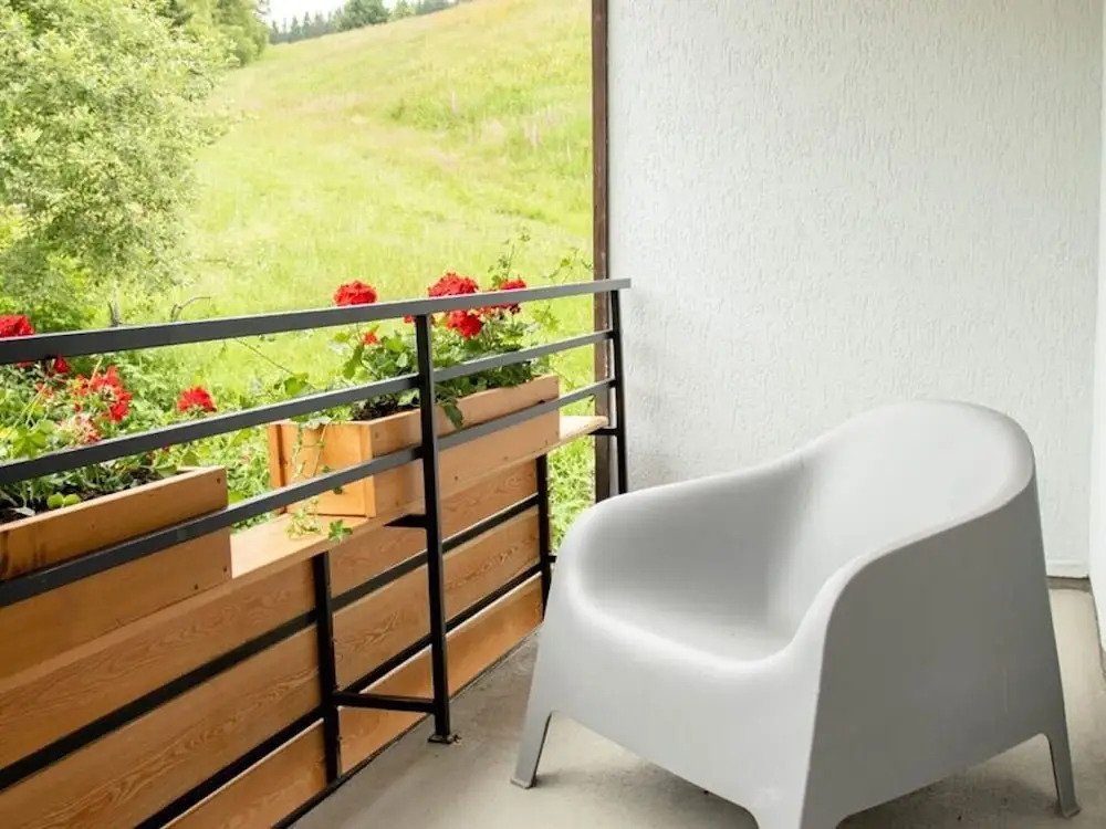 Modern Flat on the ski Slope in Niedersfeld