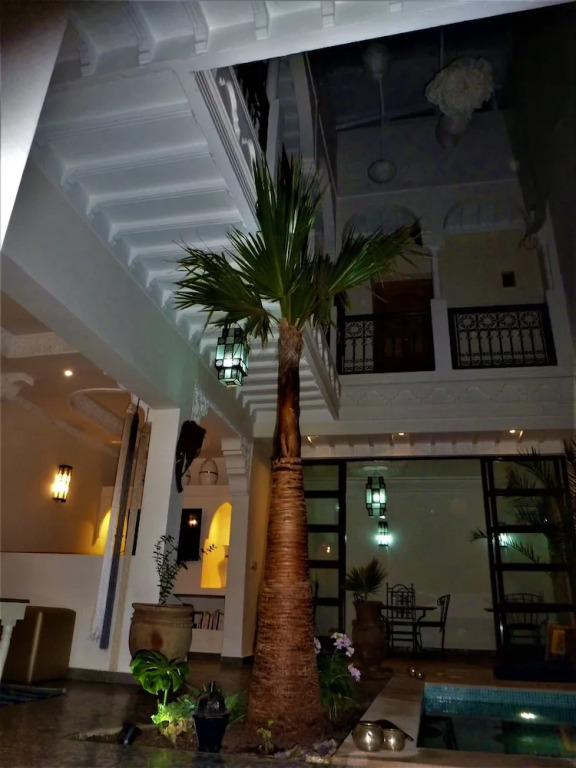 Riad Safina