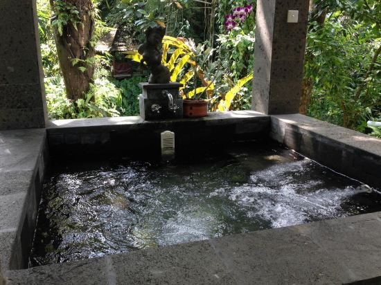 The Bali Shanti
