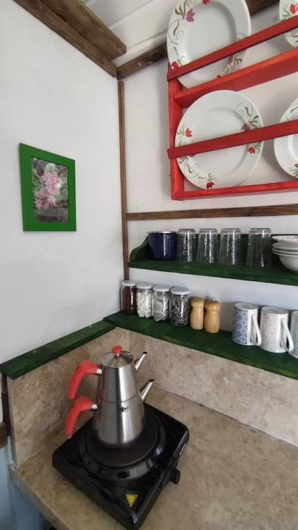 Torrhebia Dag Evi