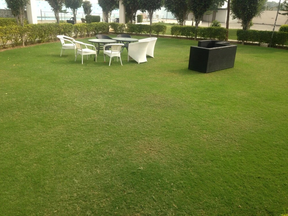 Resort De Reverie