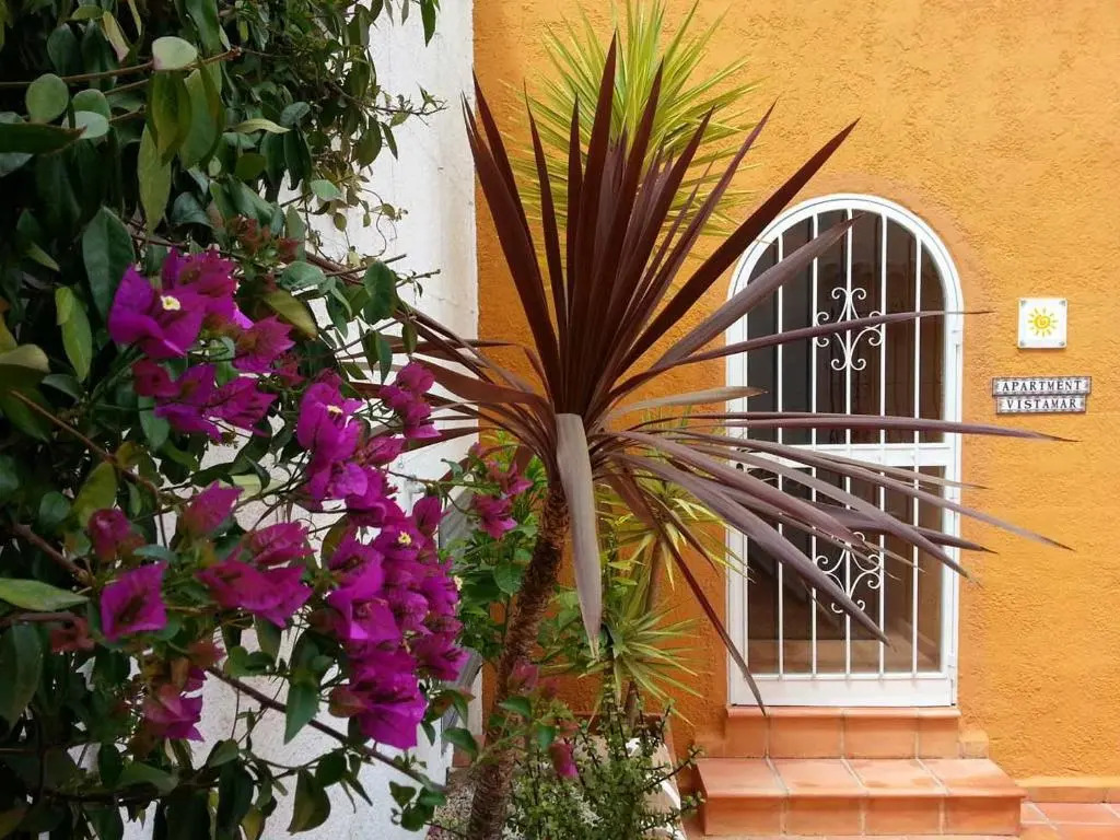 Apartment Vistamar 1