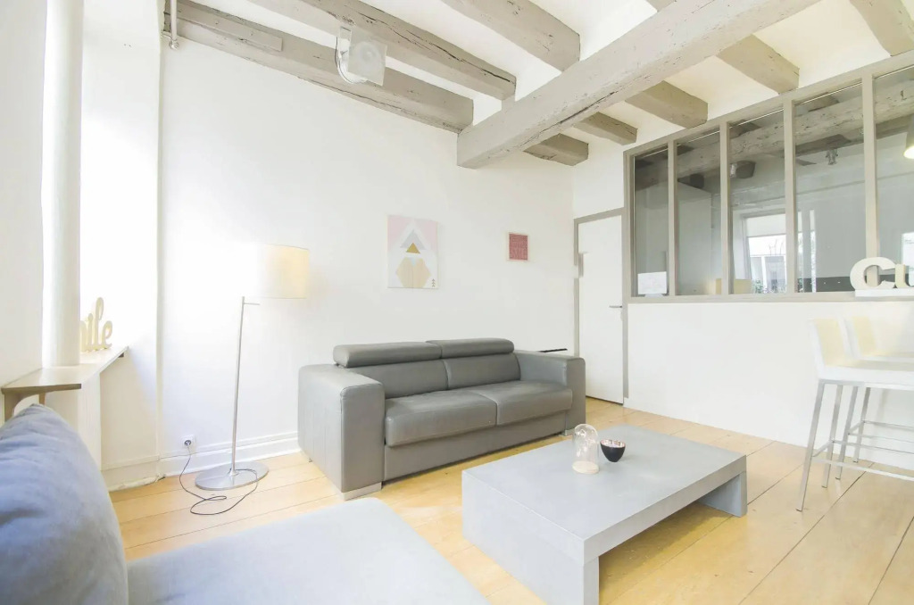 Luxury Apartment in Paris - Marais