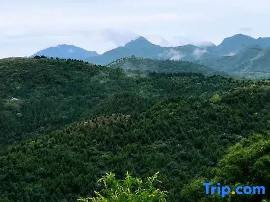 Tianjin Shujian Jiuli Homestay