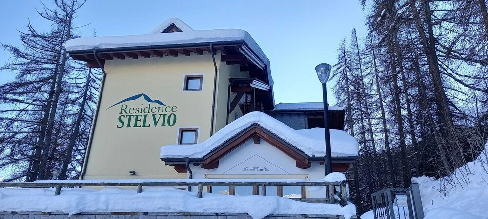 Stelviostay Bilo 7