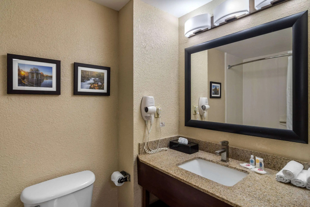 Comfort Suites Woodstock - Atlanta North