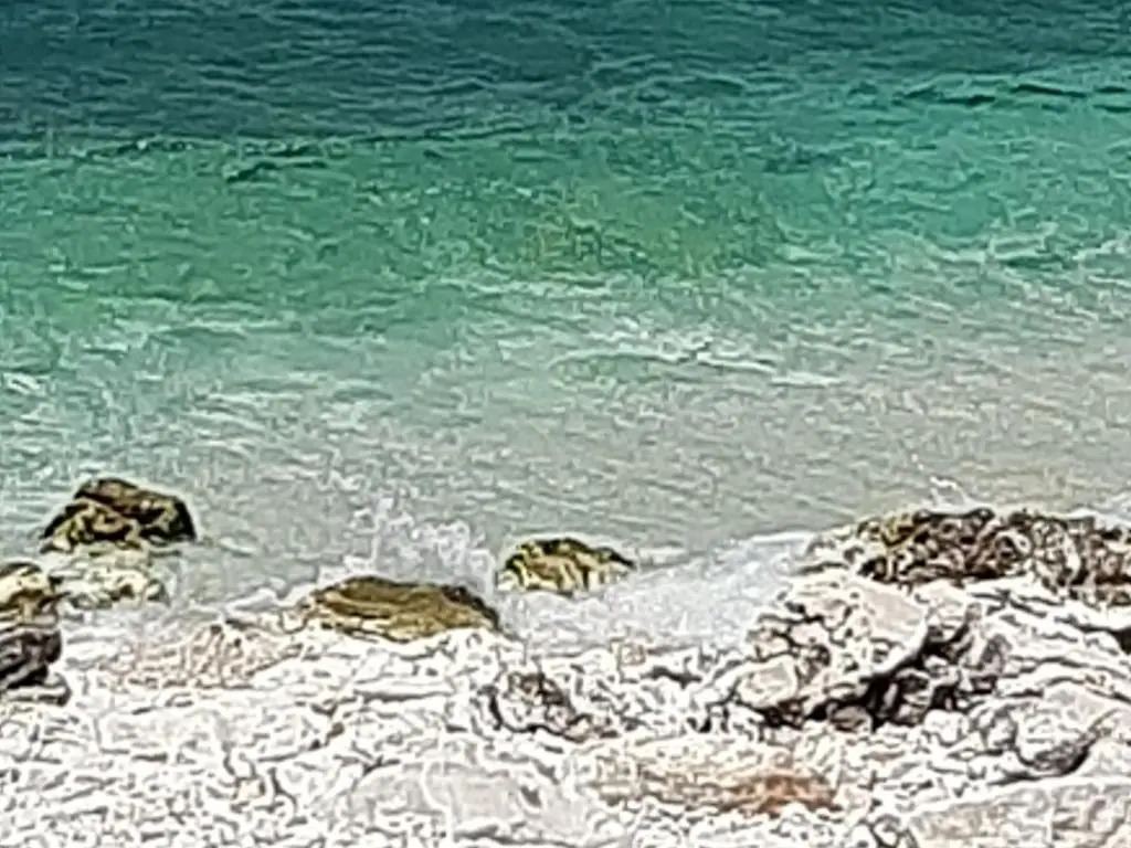Premium Sea View Apartment