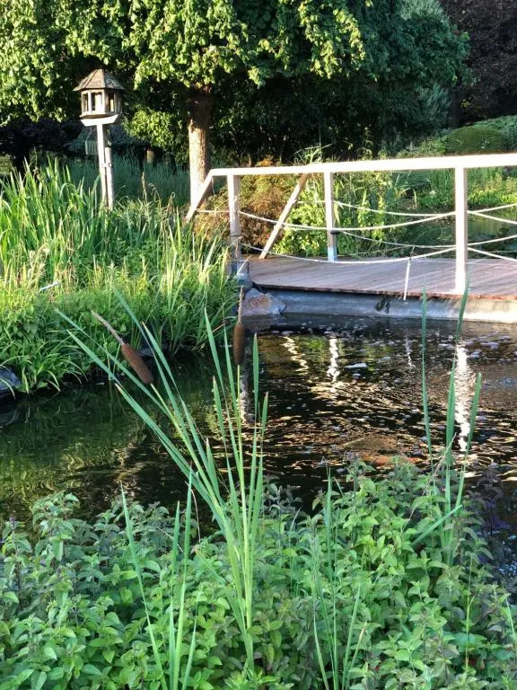 JARDIN DU MARAIS