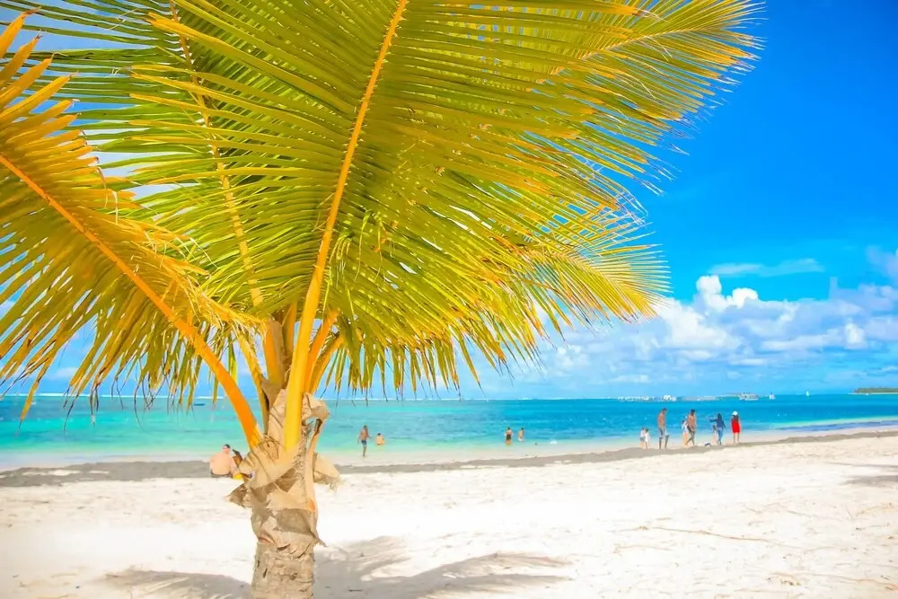 White Sands Beach