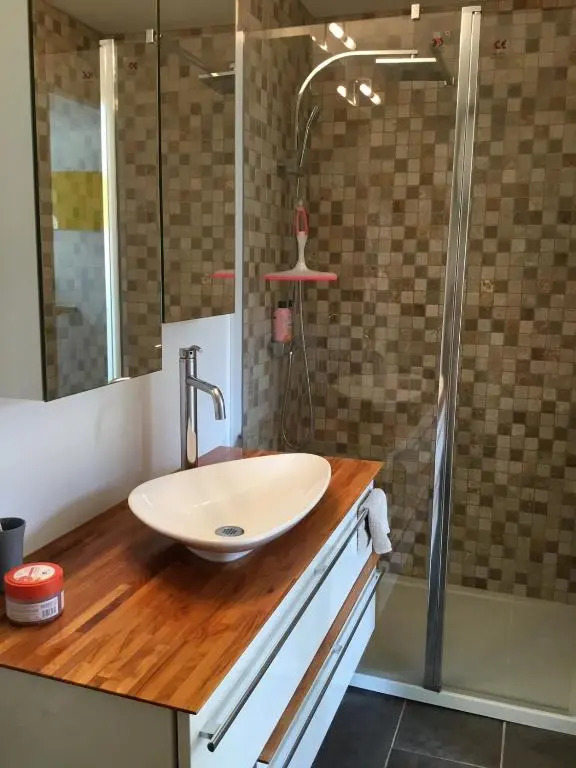Alsace Maison 5p piscine Europapark Rulantica