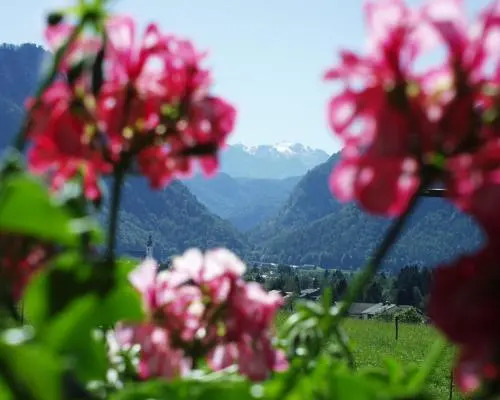 Apartment Andrea - Chiemgau Karte