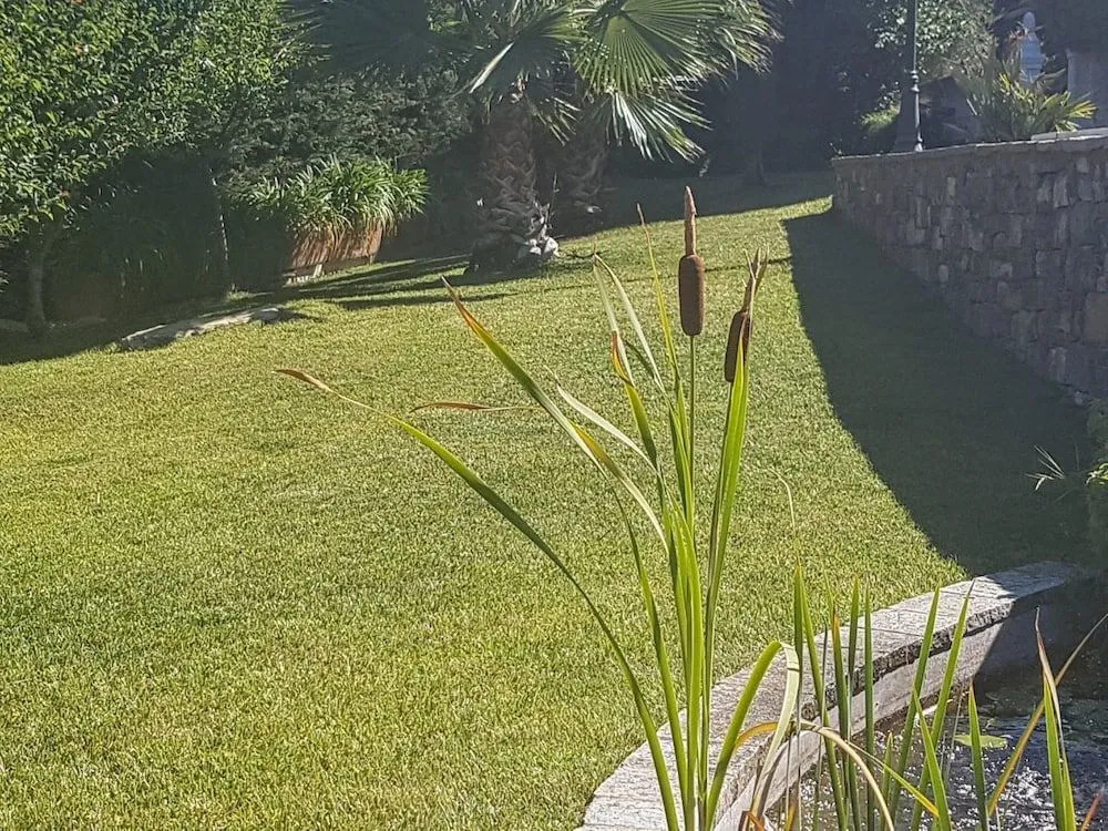 Tenuta Agriturismo IL RISVEGLIO