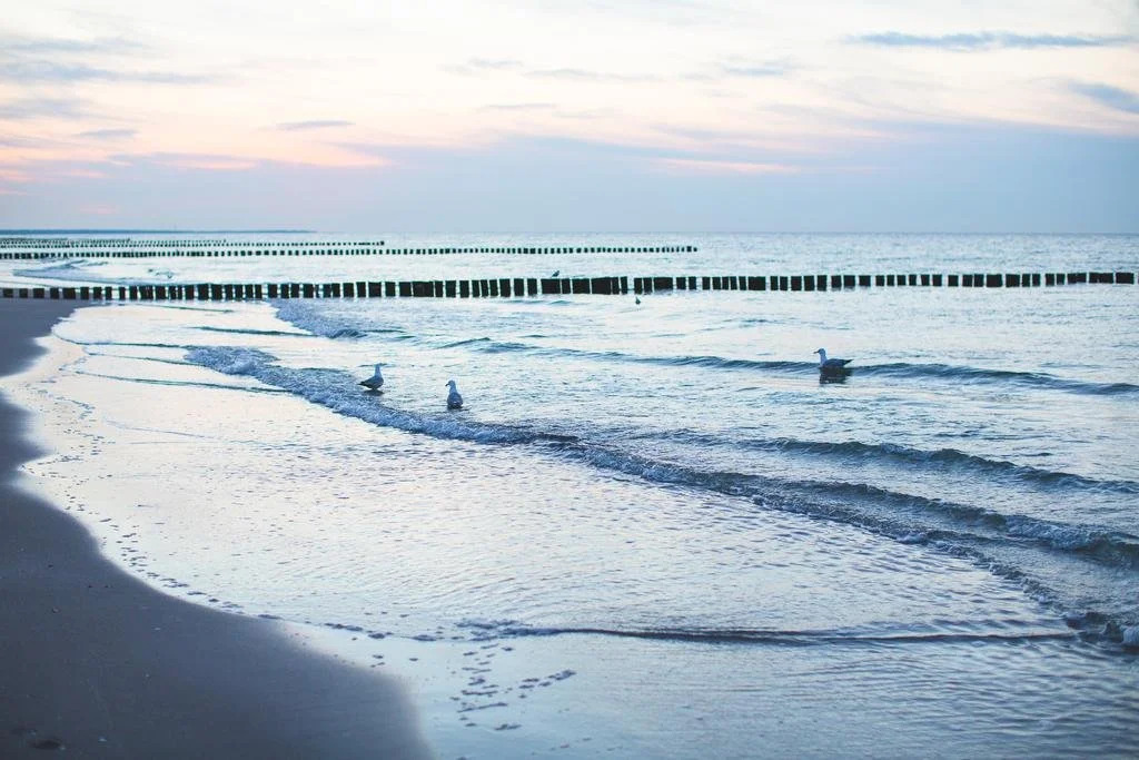 Hotel Garni Am Deich Zingst