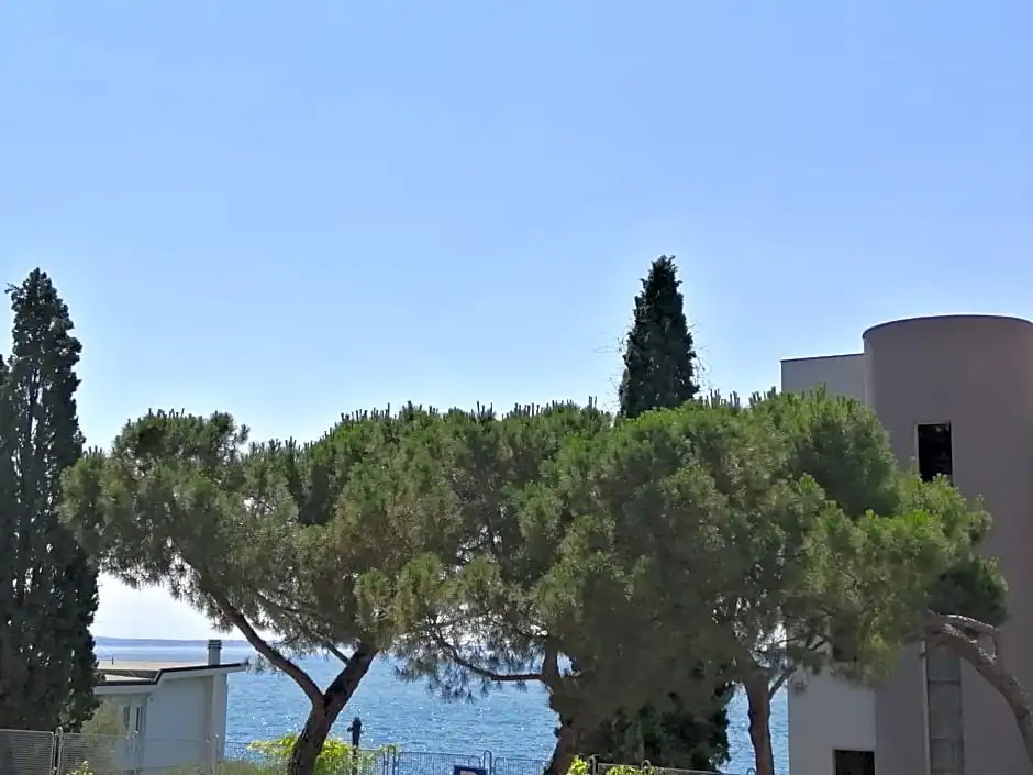 AGORÀ suite