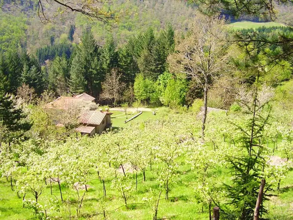 House With one Bedroom in Bibbiena, With Wonderful Mountain View, Pool