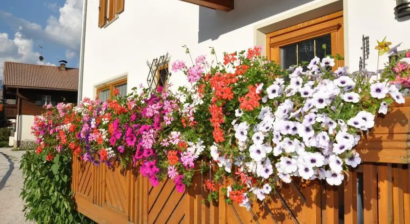 Appartements Wiesenheim