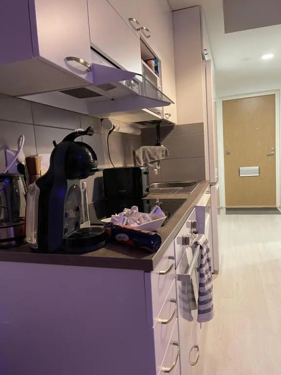 Arctic Penthouse Studio with FREE parking and high-speed Wi-Fi