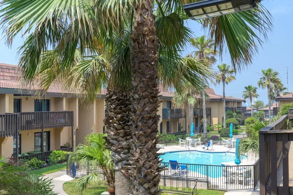 Tiki 217 - Oceanview Condo At The Tiki W/ Pools 2 Bedroom Condo