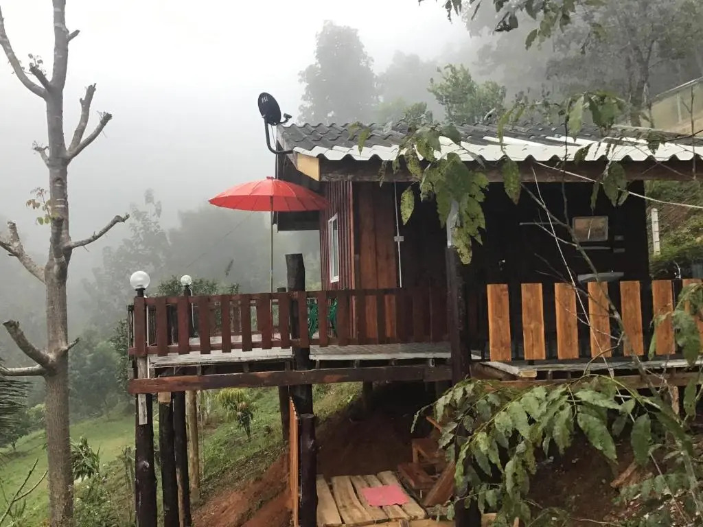 Forest Guesthouse