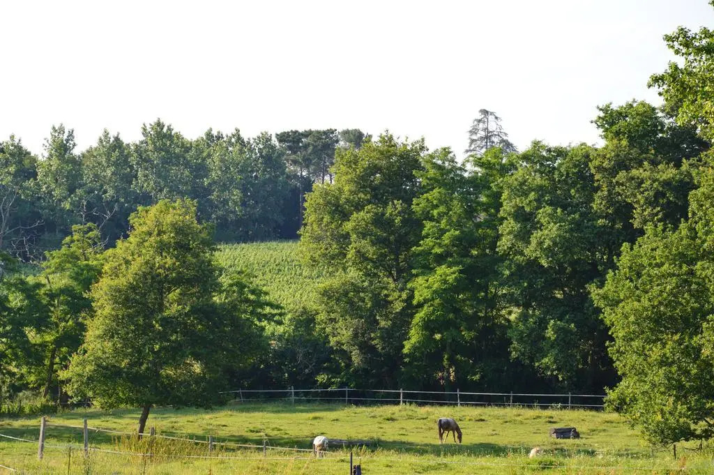 Relais du Haget