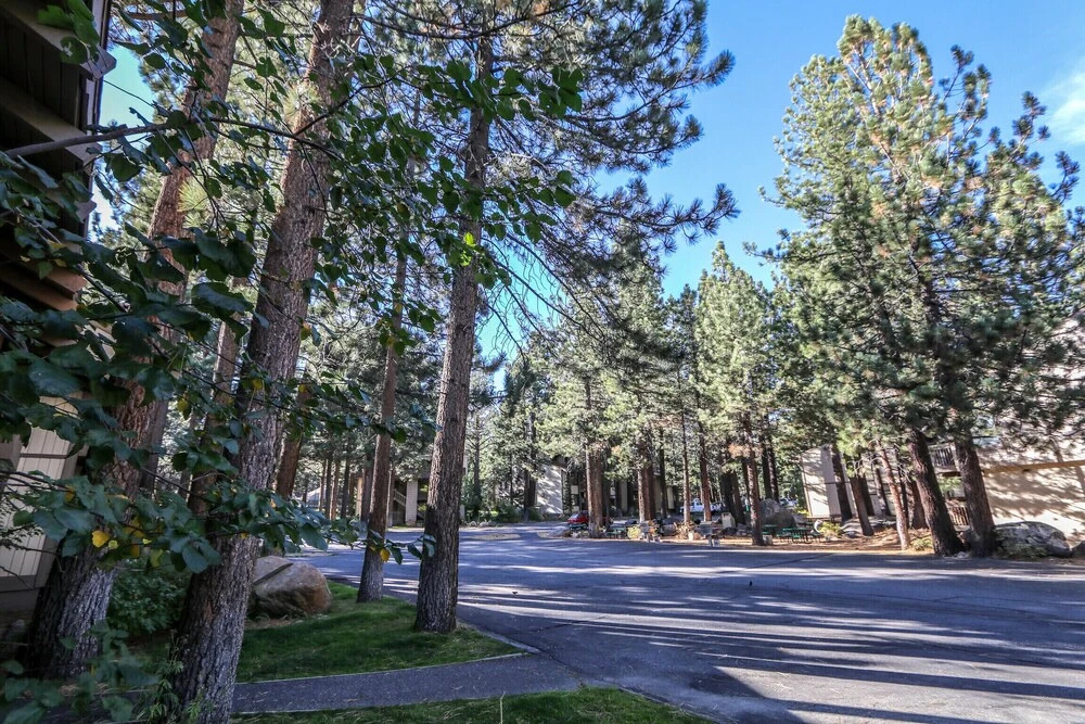 Horizons 4 168 Updated Upstairs Unit with Private Washer Dryer, Walk to Town, On Shuttle Route to Lodges by RedAwning