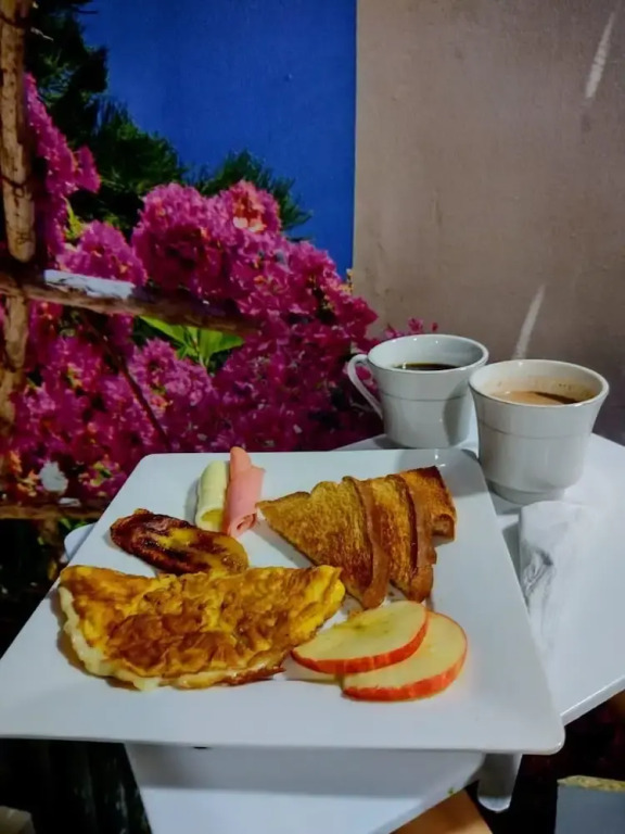Hotel Pereira Central